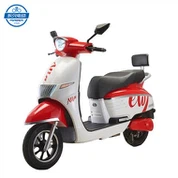 Xe tay ga điện tốc độ cao cho người lớn